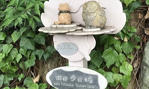 Thumbnail of post image 081