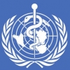 Thumbnail of related posts 139