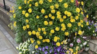 Thumbnail of post image 010