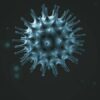 Novel coronavirus: Summer temperatures in India to keep virus at bay - BusinessT